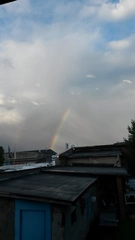 Rohr Rein Inh.Thomas Flachshaar