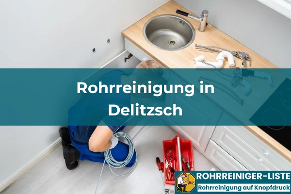 Rohrreinigung in Sachsen 8 Rohrreinigung in Delitzsch