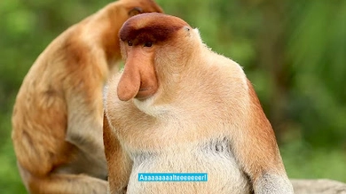 Schoenen GmbH Abwassertechnik